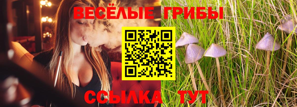 Галлюциногенные грибы Psilocybe  Вход с VPN  Саранск 