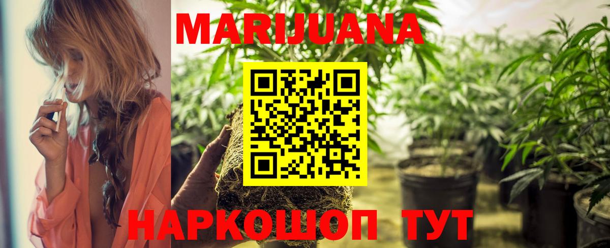 Канабис план  Вход с VPN  Бошки Шишки SATIVA & INDICA  Бошки Шишки SATIVA & INDICA  Саранск 